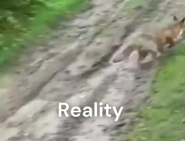 Exmoor National Park - League Against Cruel Sports