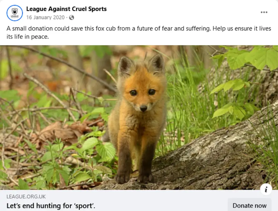 League Against Cruel Sports Fox Cub Appeal
