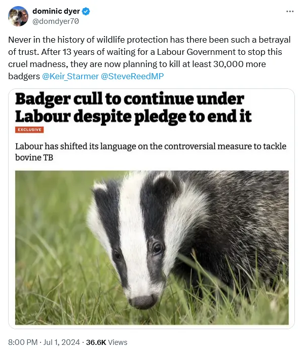 Dominic Dyer badger cull tweet